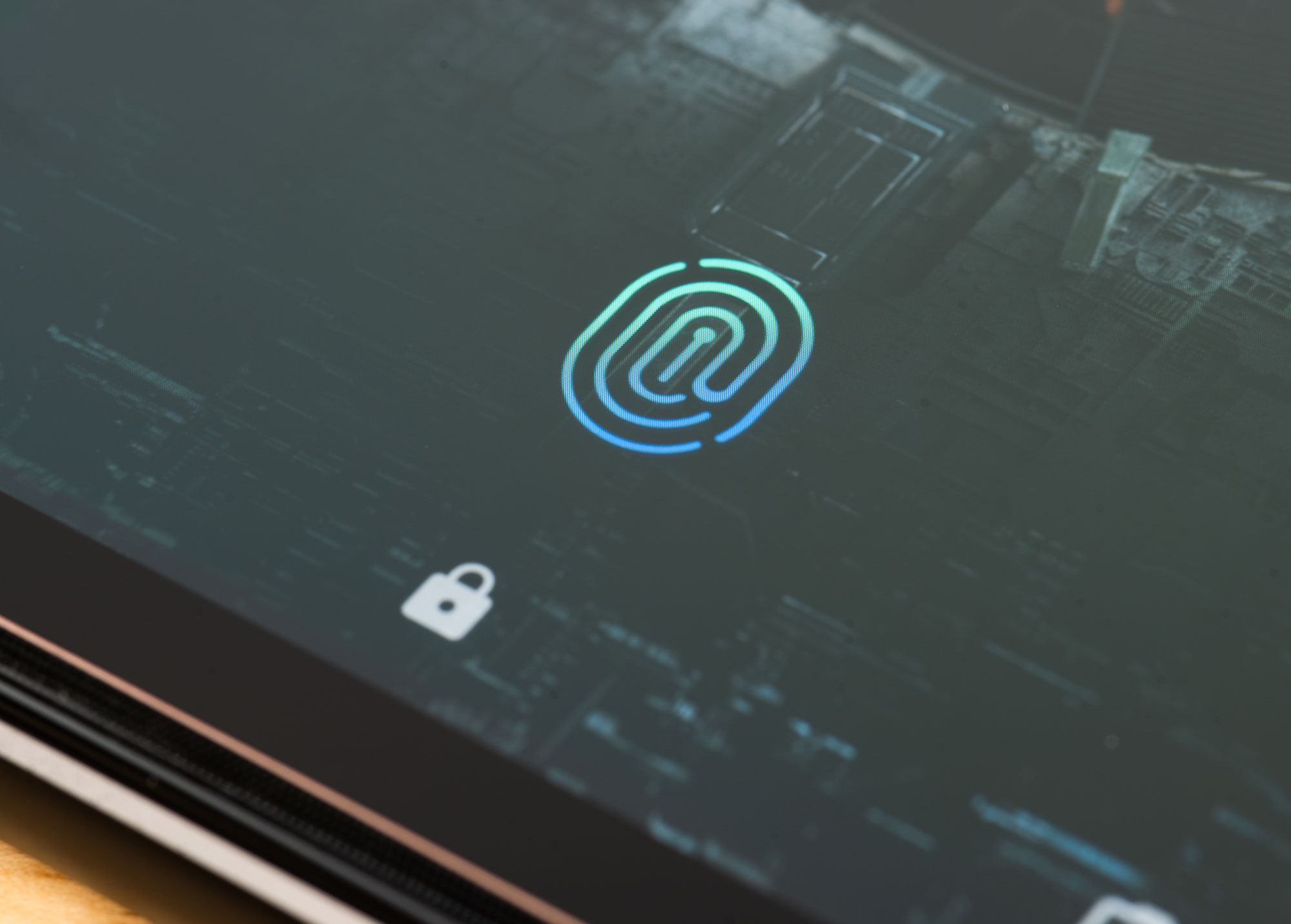 fingerprint